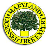 Maryland License logo